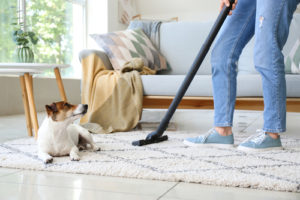 How do you clean your house with pets